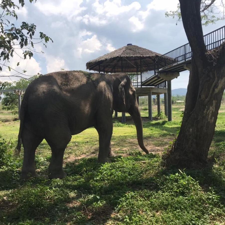 Elephant View Camp Ban Huai Thawai 外观 照片