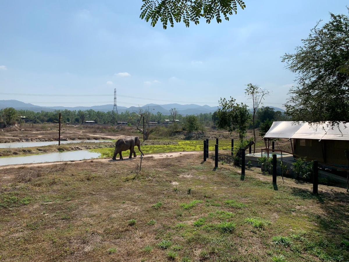Elephant View Camp Ban Huai Thawai 外观 照片