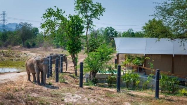 Elephant View Camp Ban Huai Thawai 外观 照片