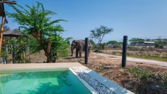 Elephant View Camp Ban Huai Thawai 外观 照片